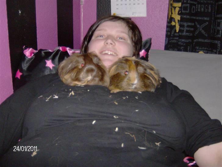 Marsvin Kira billede 9