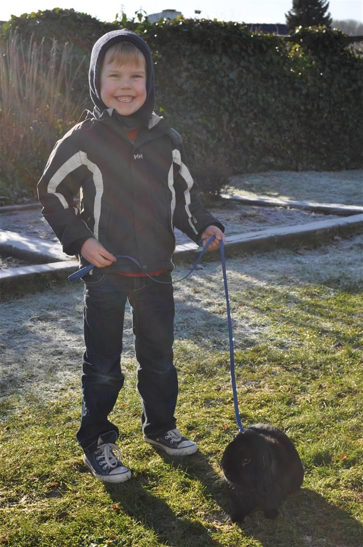 Kanin Pjuske - Lillebror og pjuske:) foto mig billede 8