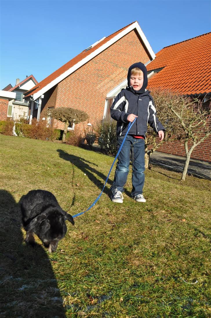 Kanin Pjuske - Mig og Carl er gode venner;) foto mig billede 10