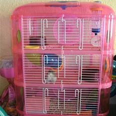 Dværghamster Prada (R.I.P)