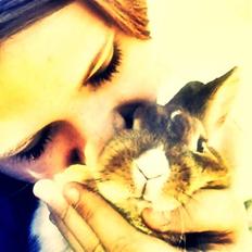 Kanin Kia <3 frækkerten