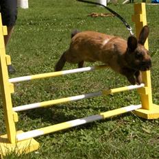 Kanin Star Fighter<3