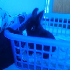 Kanin Sylvester - R.I.P :'(