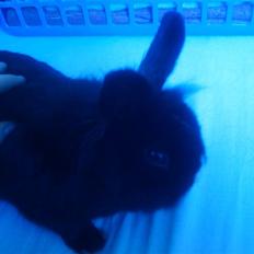 Kanin Sylvester - R.I.P :'(