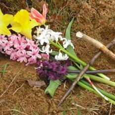 Marsvin | † Memo † | [R.I.P]