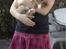 Kanin Prinsesse