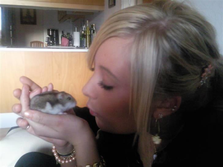 Dværghamster Baby - Kys til baby ;* billede 8