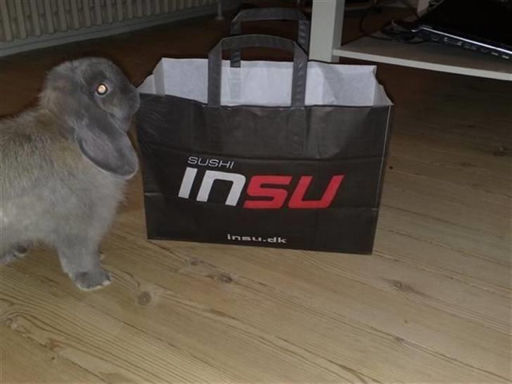 Kanin Mumle *død*  - "Det dufter, lugter godt nok skægt det der sushi." billede 9