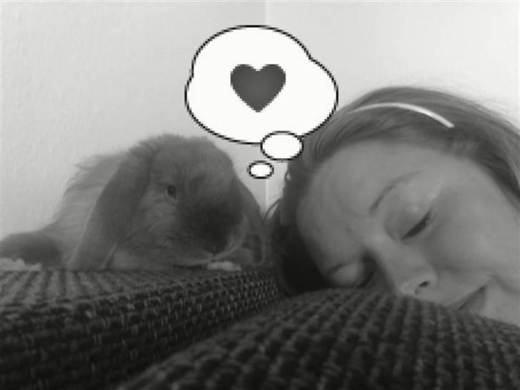 Kanin Mumle *død*  billede 15