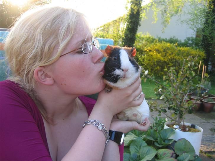 Marsvin Mico 2001-2007 - Mig og min elskede Louise billede 12