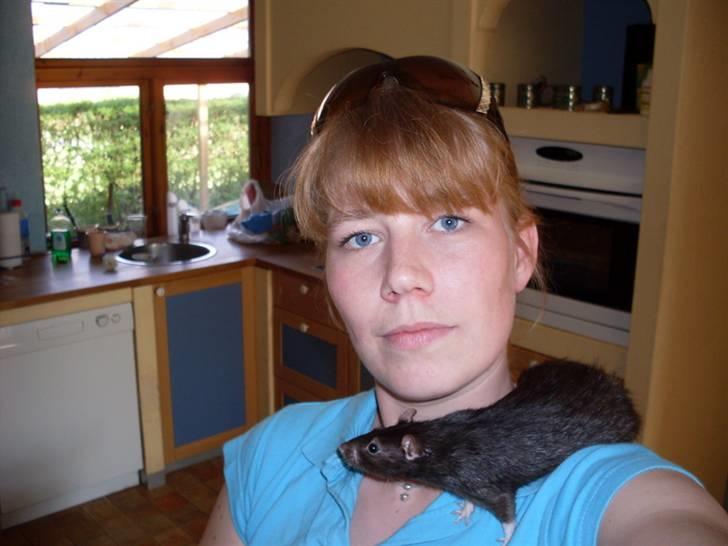 Tamrotte Max Rest In Peace billede 7