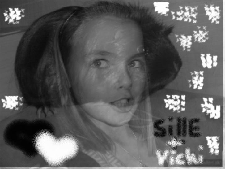 Marsvin Sille - (2) billede 2