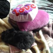 Kanin Nusenia ¤Bedsteven¤ 