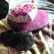 Kanin Nusenia ¤Bedsteven¤ 