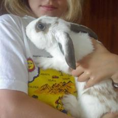 Kanin R.I.P jolly jumper