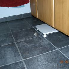 Dværghamster sille<333;)