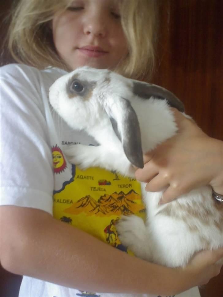 Kanin R.I.P jolly jumper billede 1