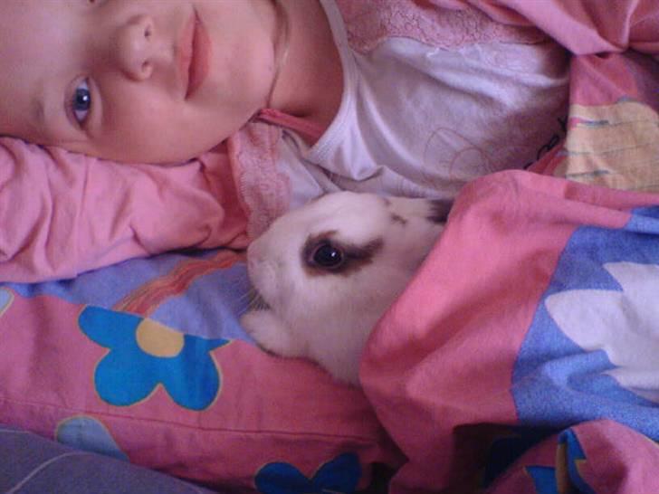 Kanin R.I.P jolly jumper billede 4