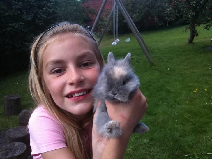 Kanin kahlua EFTERLYSES BORTLØBET!! - en kahlua baby første dag vi havde dem oppe og kæle med billede 9