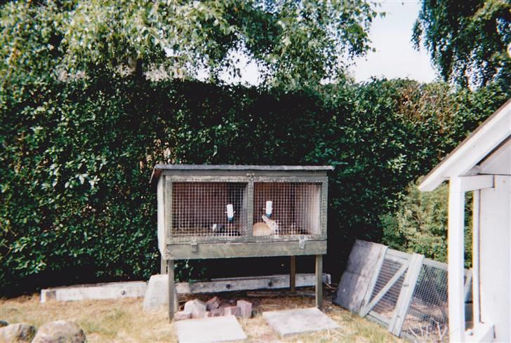 Kanin Snuske R.I.P - Snuske og Mulles dejlige bur. billede 3