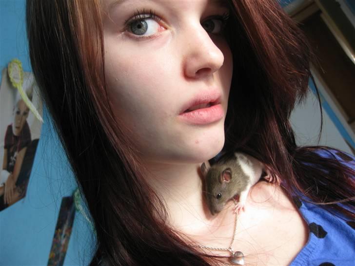 Tamrotte Valentin - (: billede 20