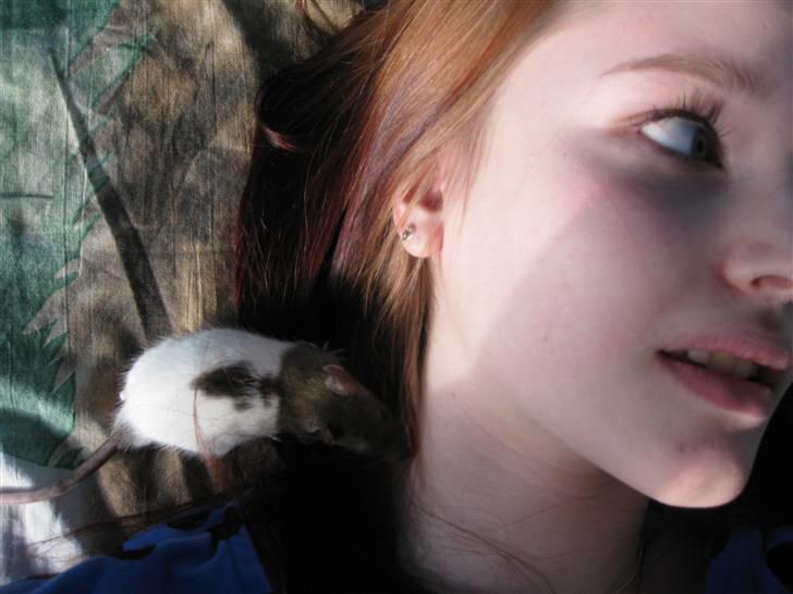 Tamrotte Jesse - Vi lå bare og puttede i sengen (: billede 10