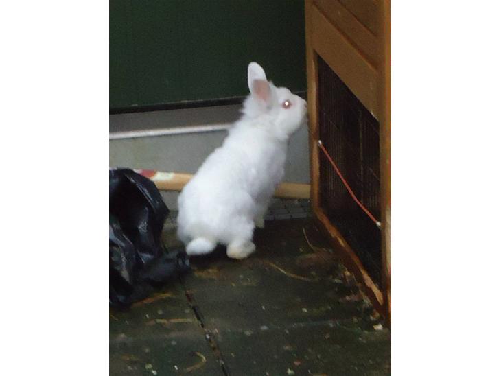 {{currentPhoto.altText}} billede {{currentPhoto.number}}