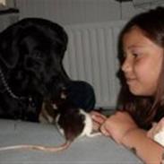 Tamrotte Angel R.I.P