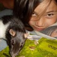 Tamrotte Angel R.I.P