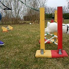 Kanin White Diamond Athos