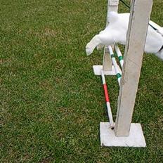 Kanin White Diamond Athos