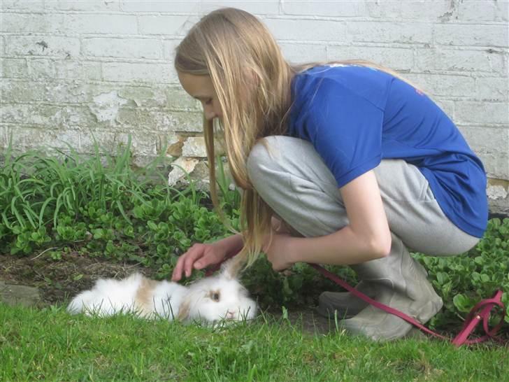 Kanin Amyson - 19/4 2011 billede 13