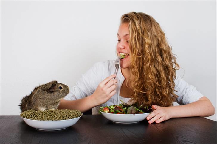 Marsvin Mulle - Mulle og min veninde Amalie spiser suuuuundt ;) billede 14