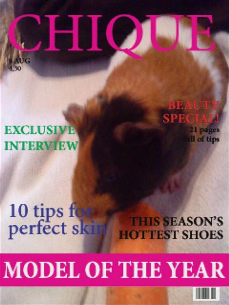 Marsvin ¨˜°º•¤ Stald Kiwis Apple R.I.P ¤•º°˜¨  - fotomodel billede 4