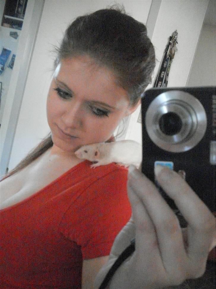 Tamrotte Prima Rats' Kahlua <3 - Mig og Kahlua <3 billede 10
