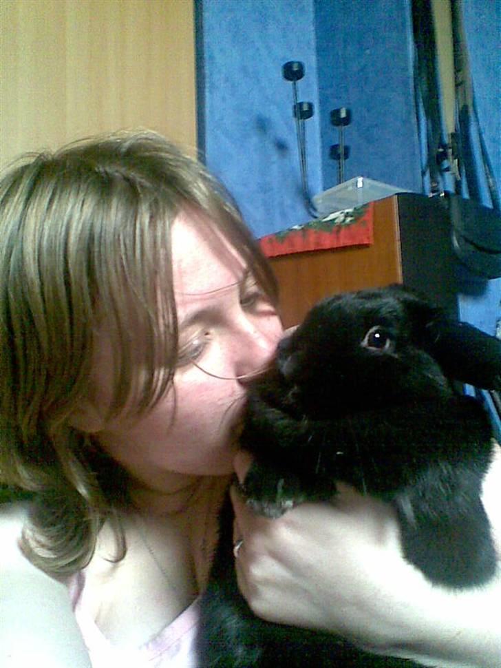 Kanin Nadia - der sidde hun hos sine mor  billede 2