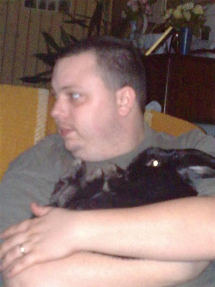 Kanin Nadia - der sidde hun hos sine far og se tv billede 3