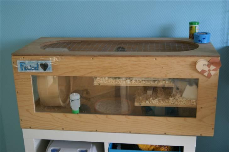 Hamster Feline - Den hjemmebyggede del af Felines bur :D På billedet sidder hun nede ved vandflasken billede 11