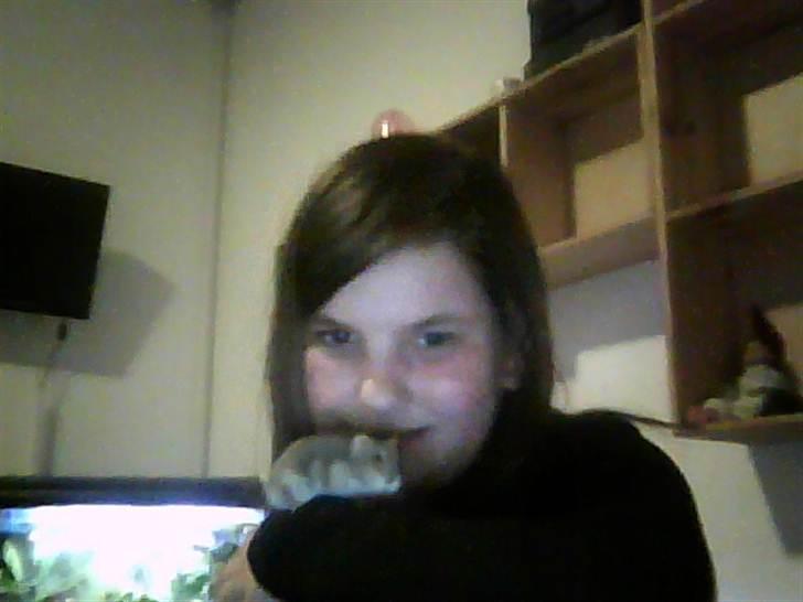 Dværghamster Grønnebæk's Nico - Gået bort - Love<3 billede 16