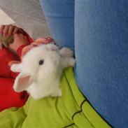 Kanin Tinky (Tinky Winky)<3