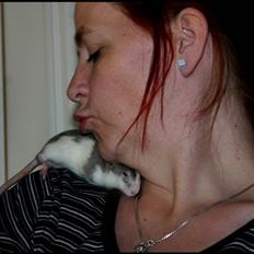 Tamrotte Visby's Dolly