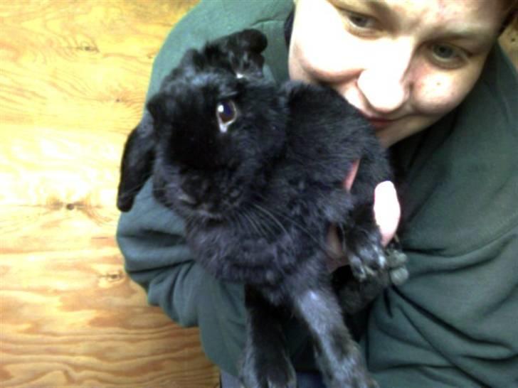 Kanin Nadia - er jeg ikke find synge i ikke det billede 6