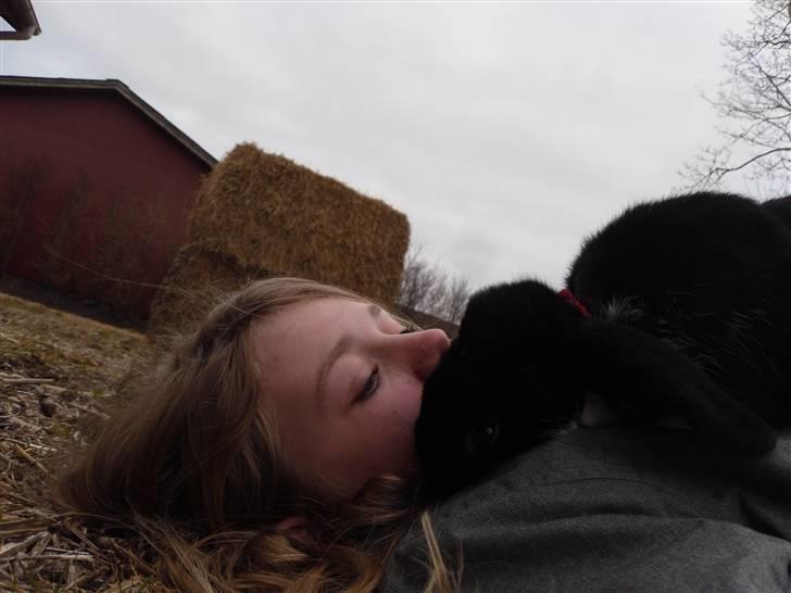 Kanin Pearcy - Peacy overfalder mig xD Foto: mig billede 5