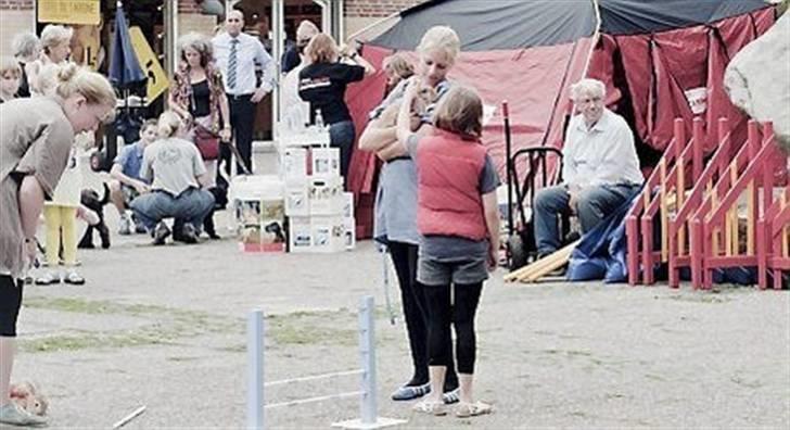 Kanin Samson R.I.P. - Samson, Jeg og en veninde efter vores opvisning foran det lokale center billede 2