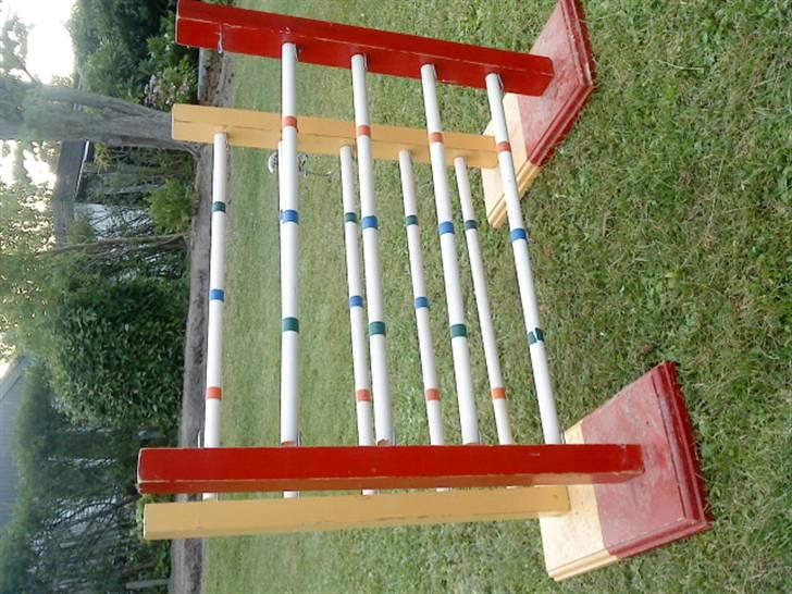 Kanin Samson R.I.P. - Så højt kunne samson springe :) billede 16