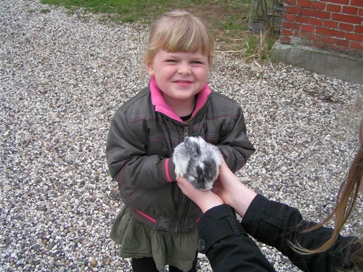 Kanin Drew - Lillesøster og Drew :) billede 2