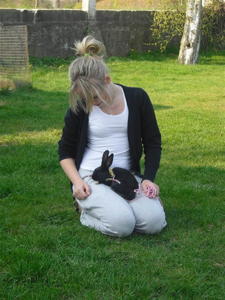 Kanin Sofiagaardens Rubber ball billede 11