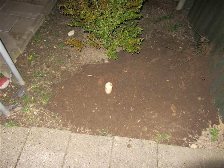 Kanin mimi... <3 R.I.P billede 14