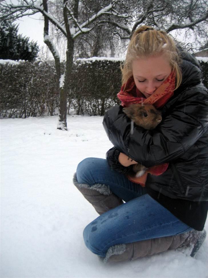 Kanin Tarzan - Tarzan! billede 8