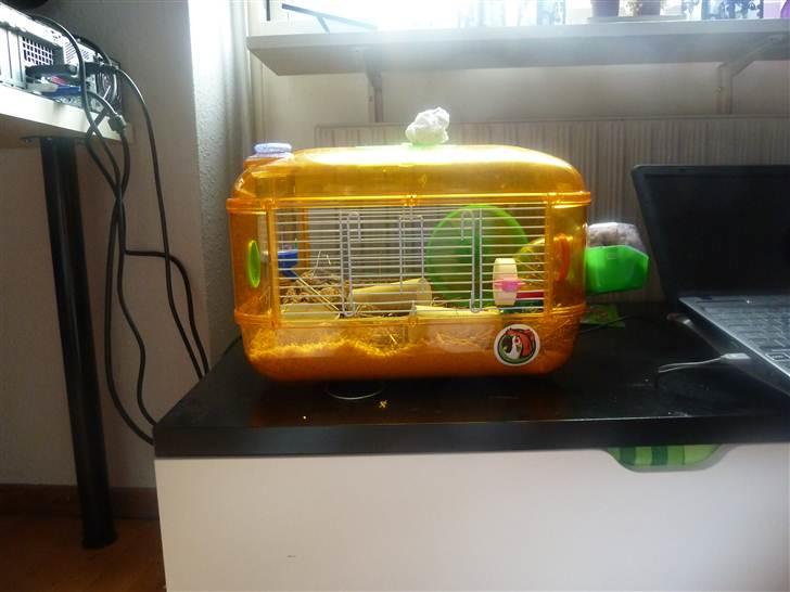 Dværghamster Molly - Mollys bur ;) billede 7